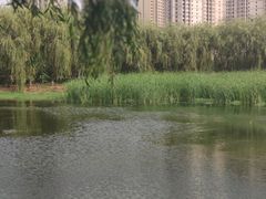 -东坝千亩湖公园