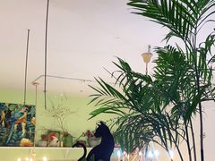 -Jo's Garden