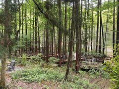 -东明山森林公园