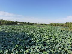 -艾溪湖湿地公园