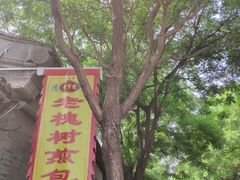 门面-老槐树煎包