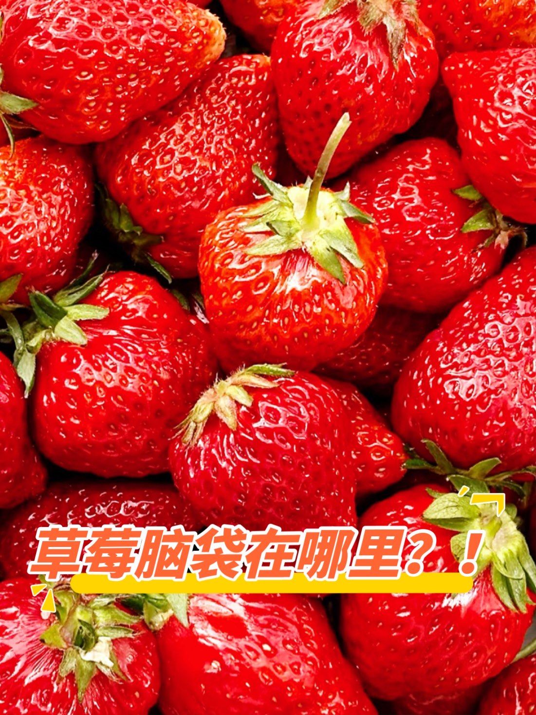 作为一个超正宗的草莓脑袋?我可太爱冬天啦