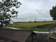 -丫丫蟹庄·苏式园林农家乐·阳澄湖大闸蟹(阳澄湖莲花岛店)