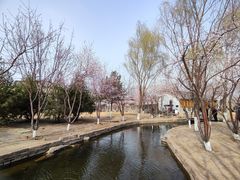 -三里河公园