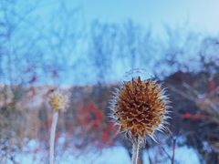 -太子岭滑雪场