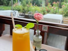 -橘洲1910花园江景西餐厅