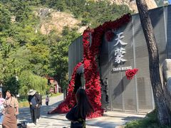 -沂蒙山旅游区云蒙景区(蒙山国家森林公园)