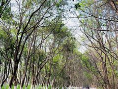 -艾溪湖湿地公园