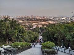 -青礁慈济宫