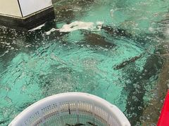 -鱼痴渔醉·食鲜集(月亮湾店)