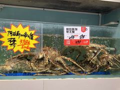 水产区-万龙洲海鲜(大兴绿地缤纷城店)