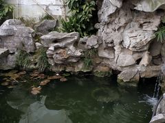 -美味之家·湖景农家乐(太湖东山店)