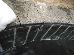 -观唐（国际）度假村温泉