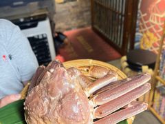 -KITON喜豚(清晖园店)