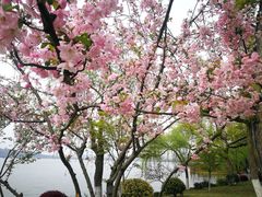 -浙江西子宾馆·瑶园咖啡厅