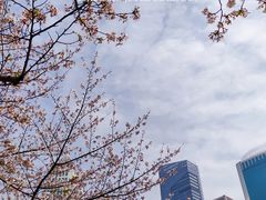 -西北湖绿化广场