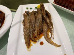 上海烤仔鱼-金时代顺风大酒店(协泰店)