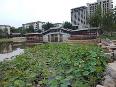 -西海子公园