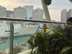 -润园四季椰子鸡火锅(海上世界店)