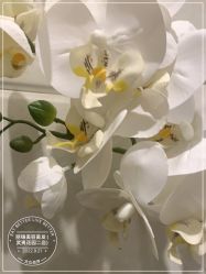 -LJOY丽锦造型·烫发染发