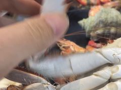 -王潮活海鲜自助·蒸汽海鲜