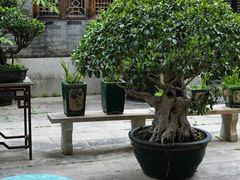 -黄埔古港