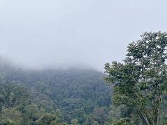 -野象谷景区