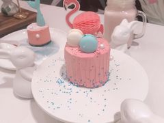 火烈鸟-随心小姐