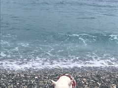 -七星潭蓝天广场