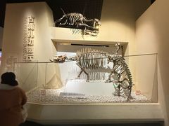 -国家自然博物馆