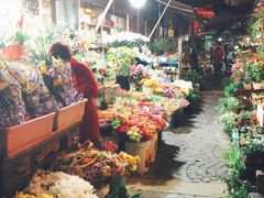 -曲阳花鸟市场(曲阳路店)