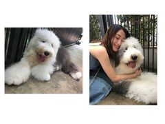 -TrueLove @ Neverland (Husky Cafe)
