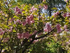 -长白岛森林公园