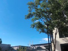 -小意思咖啡店(草桥店)