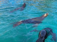 -大连老虎滩海洋公园