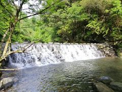 -祁门牯牛降观音堂风景区