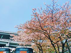 -上海南浦大桥长途旅游客运站