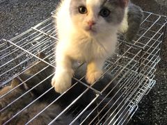 -吉品源(农院路店)