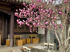 -京樽回転寿司(奥林匹克店)