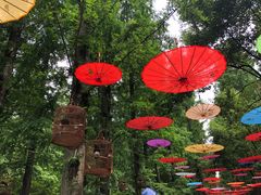 -崇明东平国家森林公园烧烤房车露营地