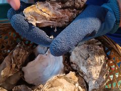 -蚝堡海鲜·威海菜·海肠捞饭·烧烤·亚洲吃蚝公司(幸福门店)