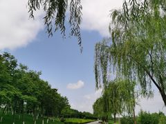-洨河生态公园