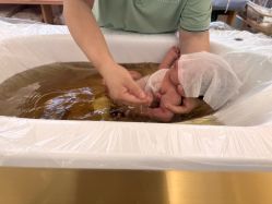 -安悦贝月子中心