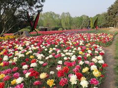 -石家庄市植物园