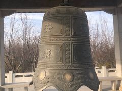 -石家庄市植物园