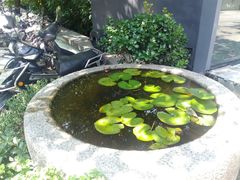 -江滨壹号艺文空间复合餐厅(闽江大道店)