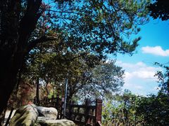 -缙云山景区