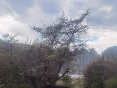 -墨石公园景区