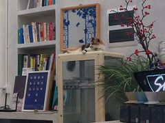-玫瑰咖啡(中山六路店)
