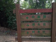 -火炉山森林公园